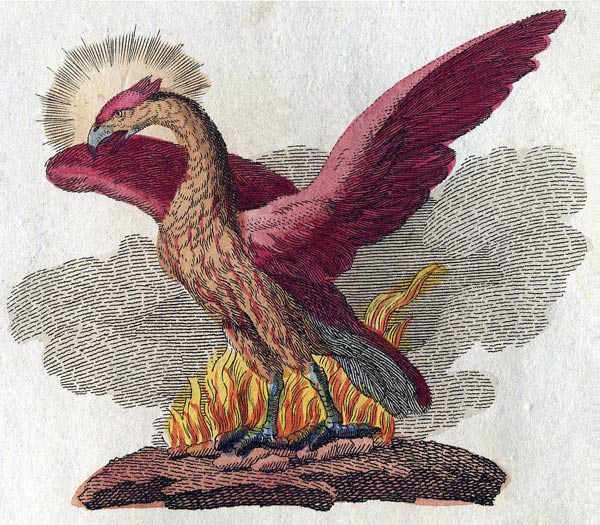 Изображение феникса, 1806 г.